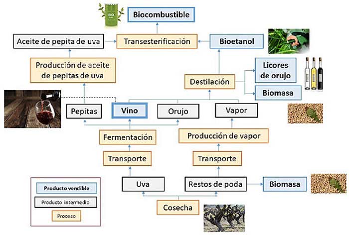 Tecnovino biocombustible renovable