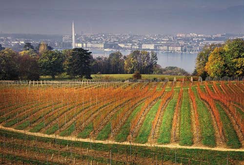 Tecnovino 42 congreso mundial de la vina y del vino de oiv Suiza