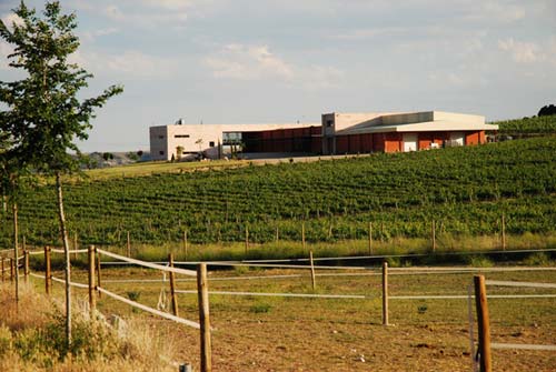 Tecnovino Bodegas Comenge cuidado del vinedo 1