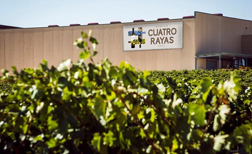 Tecnovino transformacion digital en bodegas Cuatro Rayas