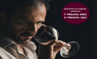 Tecnovino Showroom de Vinos Premium