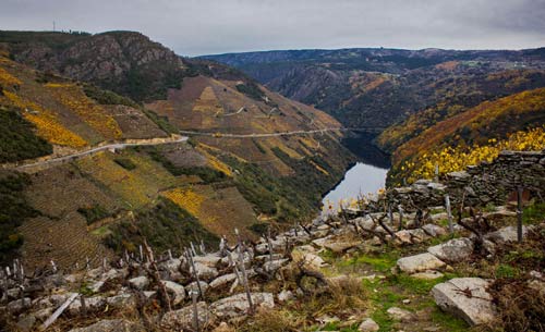 Tecnovino viticultura heroica simposio Ribeira Sacra detalle