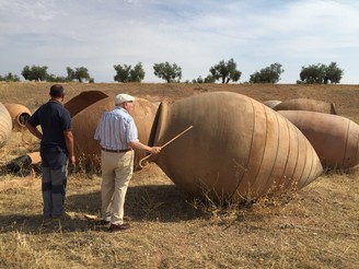 Tecnovino Govalmavin