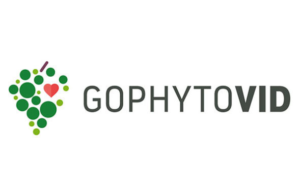 Tecnovino fitosanitarios en viticultura Gophytovid logo