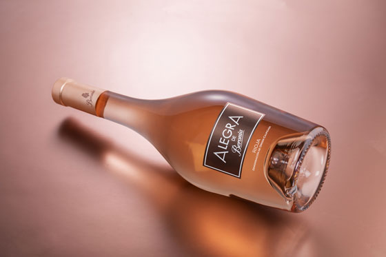 Tecnovino vino rosado Alegra de Bodegas Beronia 2