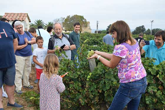 Tecnovino La Vendimia del Cava 3