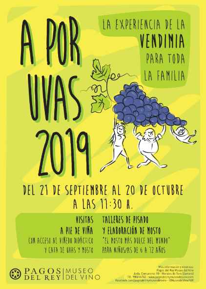 Tecnovino A por Uvas 2019