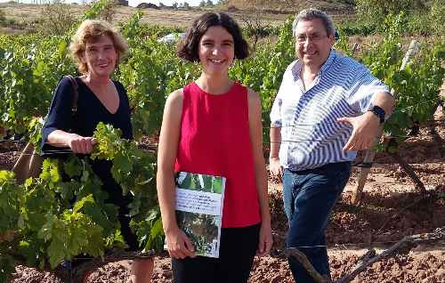 Tecnovino Garnacha Blanca