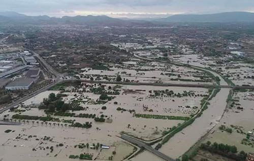 Tecnovino temporal de lluvias Segura