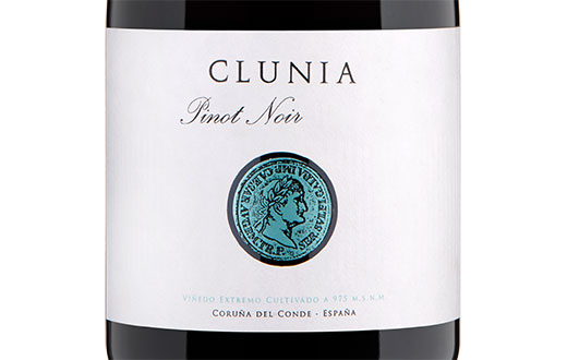 Tecnovino Clunia Pinot Noir detalle