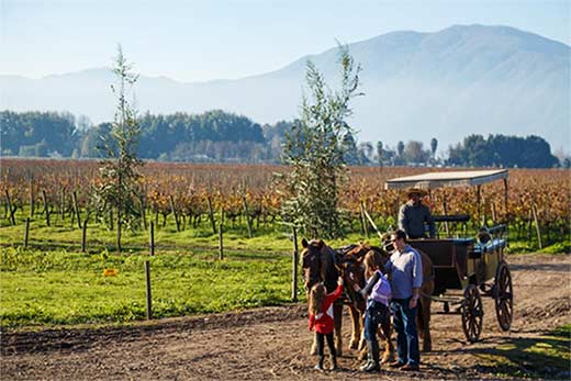 Tecnovino Turismo Enologico Chile