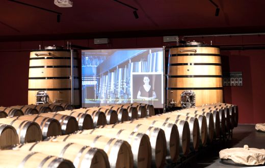 Tecnovino best of wine tourism