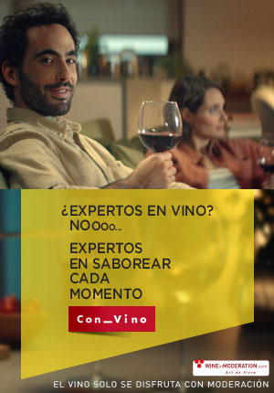 Tecnovino campana Interprofesional del Vino de Espana OIVE sofa