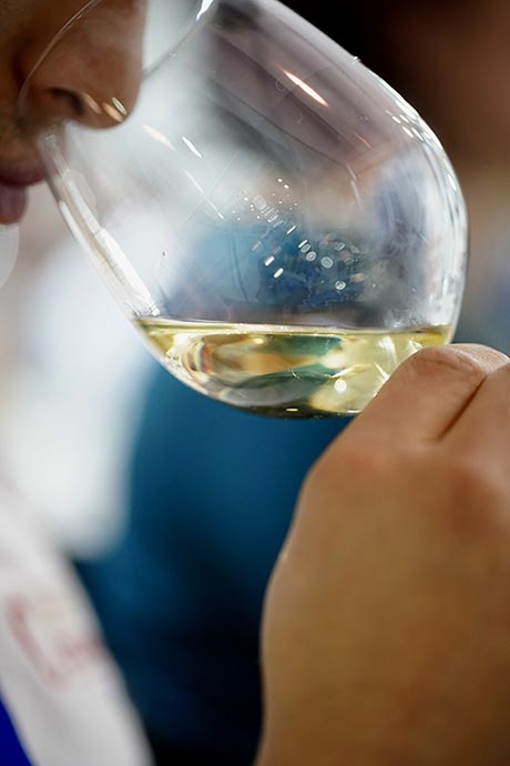 Tecnovino feria Gastronoma 2019 vino blanco