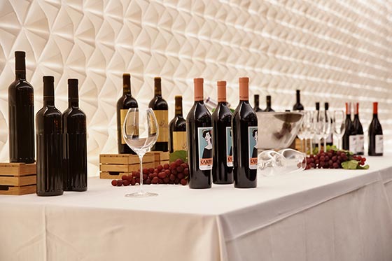 Tecnovino feria Gastronoma 2019 vinos 2