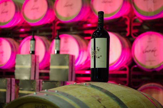 Tecnovino Alma de Luzon Bodegas Luzon