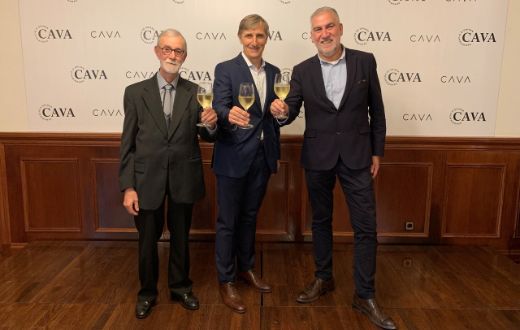 Tecnovino DO Cava