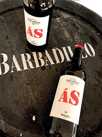 Tecnovino AS de Mirabras Bodegas Barbadillo 2