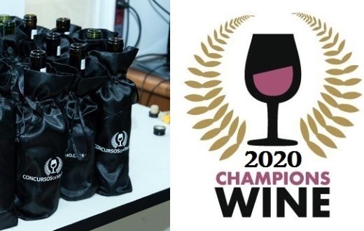 Tecnovino Champions Wine