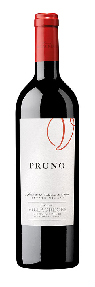 Tecnovino vino Pruno 2018 botella