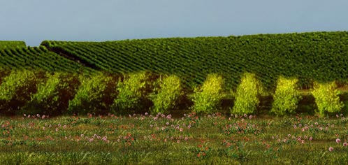 Tecnovino Grupo Rioja vñedo Ley de la Cadena Alimentaria