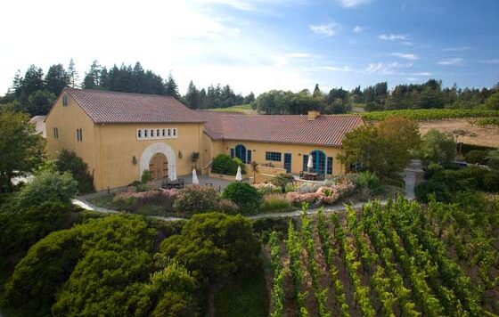 Tecnovino Marimar Estate