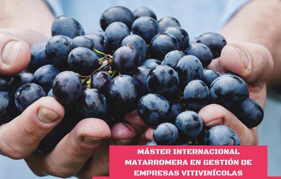 Tecnovino Máster en Gestión de Empresas Vitivinícolas Matarromera detalle