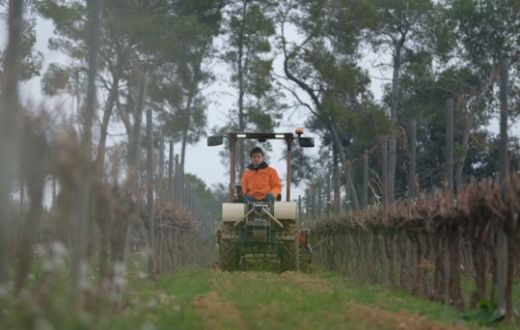 Tecnovino tractor electrico