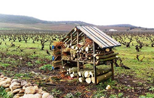 Tecnovino La Rioja Alta albergue insectos vinedo