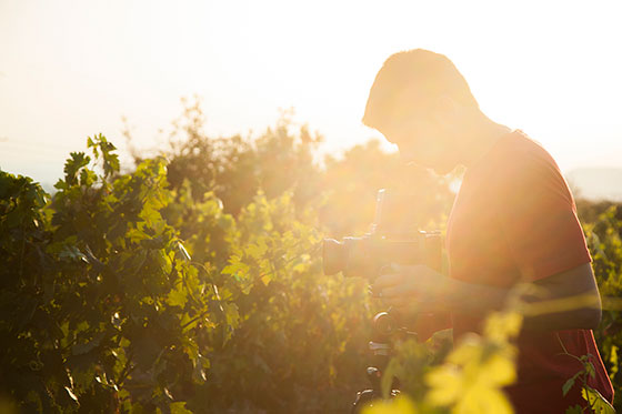 Tecnovino Jorge Comi fotografo vino