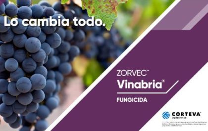 Tecnovino Zorvec Vinabria