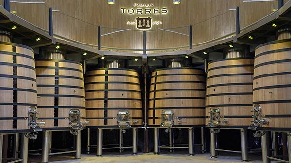 Tecnovino marcas de vino mas admiradas del mundo 2020 Torres