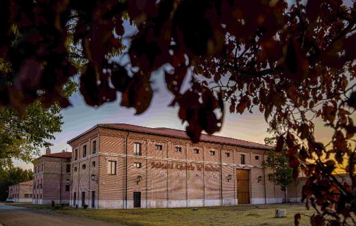 Tecnovino Castelo de Medina