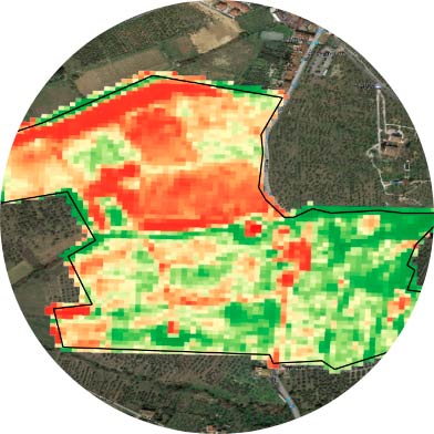 Tecnovino Elaisian agricultura de precision en el vinedo 3