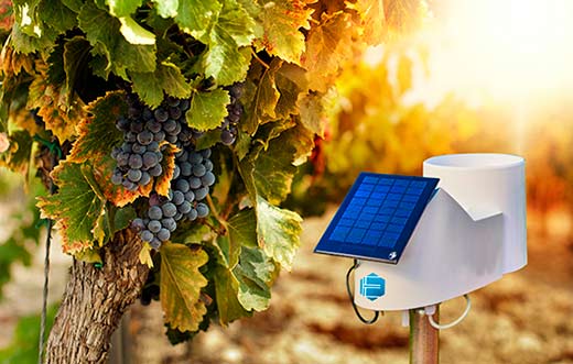 Tecnovino Elaisian agricultura de precision en el vinedo detalle