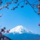 Tecnovino Japón Monte Fuji