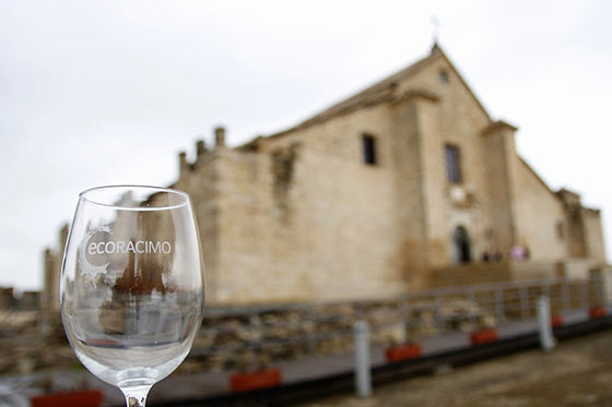 Tecnovino Premio Internacional de Vinos Ecologicos﻿ Ecoracimo Castillo de Montilla