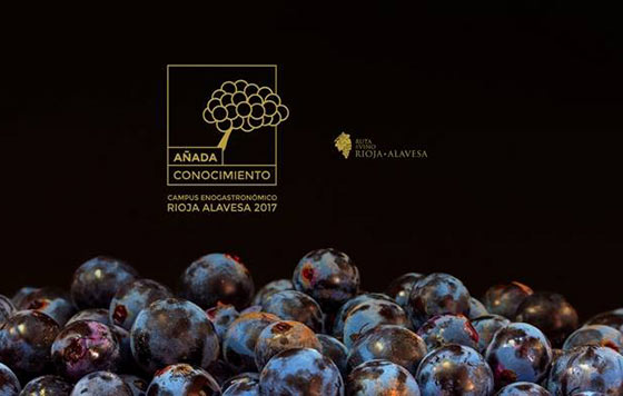 Tecnovino conocimientos sobre vino Anada Conocimiento Ruta del Vino de Rioja Alavesa detalle