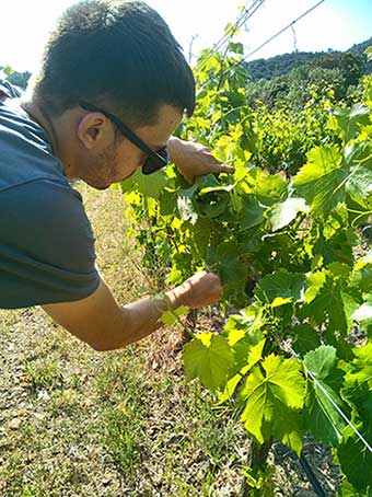 Tecnovino sostenibilidad vitivinícola Proyecto Life Priorat + Montsant