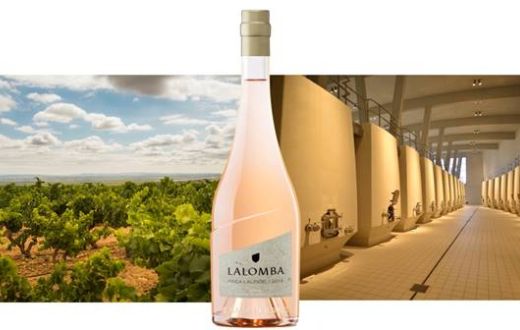 Tecnovino Lalomba Finca Lalinde Rosado 2019