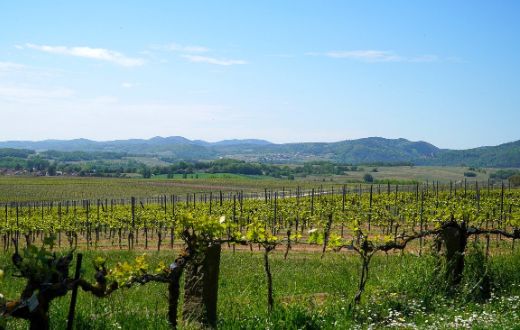 Tecnovino Union de Uniones ayuda al sector del vino