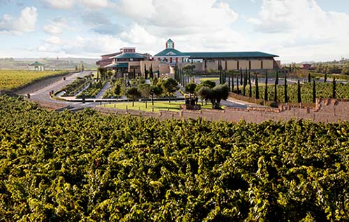 Tecnovino Bodega y Museo Vivanco