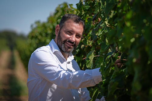 Tecnovino Celeste Verdejo enólogo Juan Ramón García