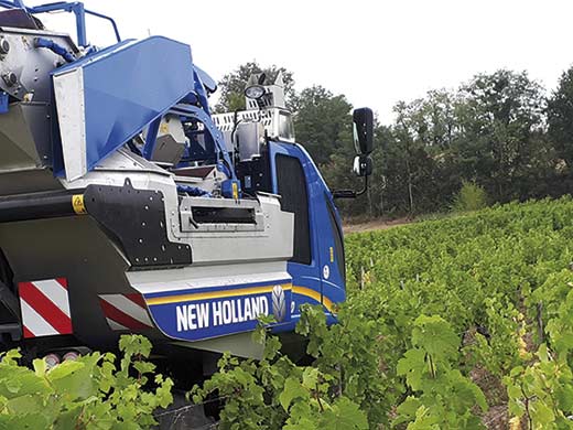 Tecnovino Combi Grape despalillado vendimiadoras Braud New Holland