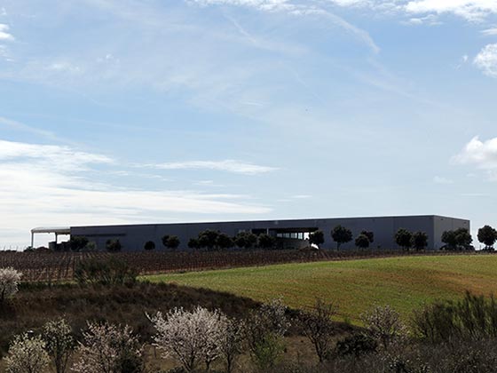 Tecnovino Pago del Cielo bodega en Rueda