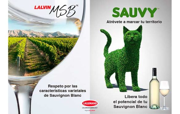 Tecnovino levaduras enologicas de Lallemand Sauvy y Lalvin MSB detalle