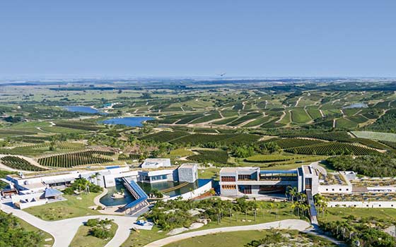 Tecnovino mejores viñedos del mundo 2020 Bodega Garzón