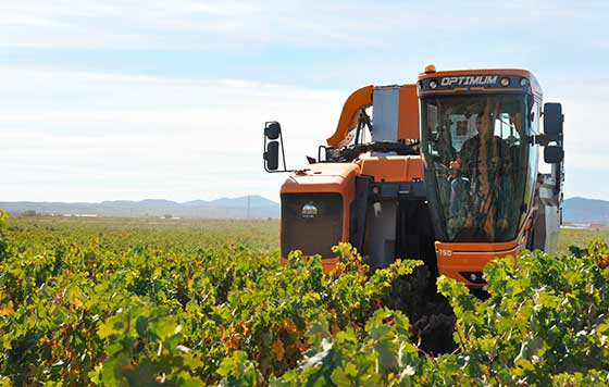 Tecnovino vendimia en la DOP Cariñena