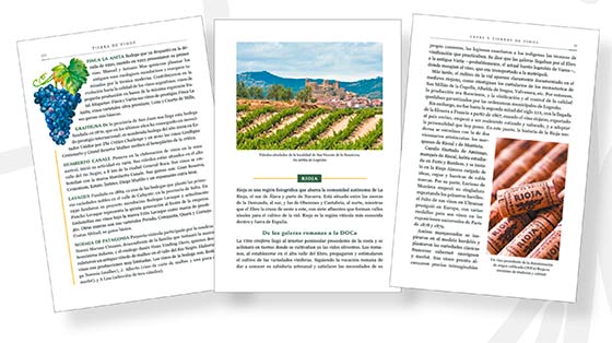 Tecnovino libro Tierra de Vinos interior