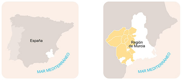 Tecnovino DOP Bullas zonas de producción 1